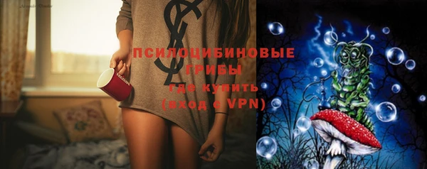дурь Пестово