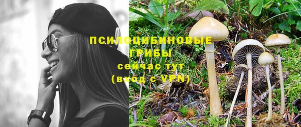 дурь Пестово