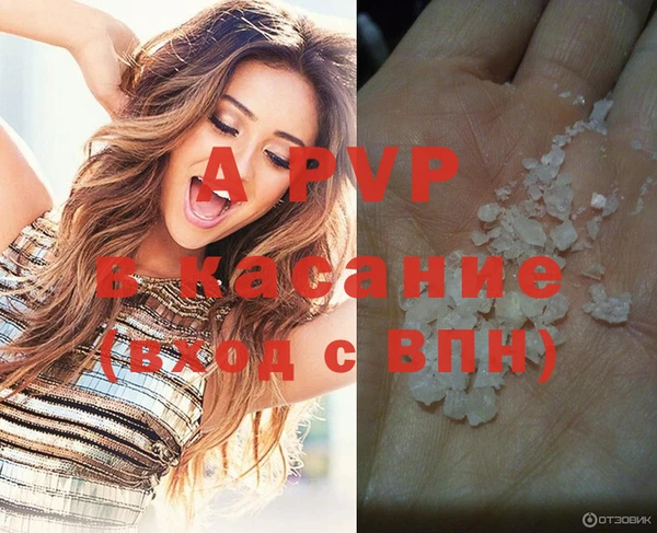 гашик Переславль-Залесский