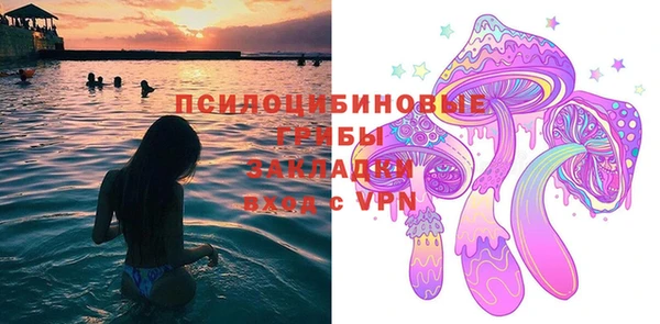 гашик Переславль-Залесский