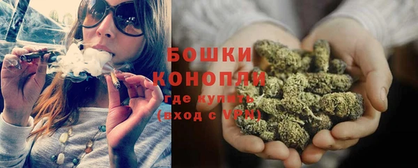 ГАЛЛЮЦИНОГЕННЫЕ ГРИБЫ Осташков