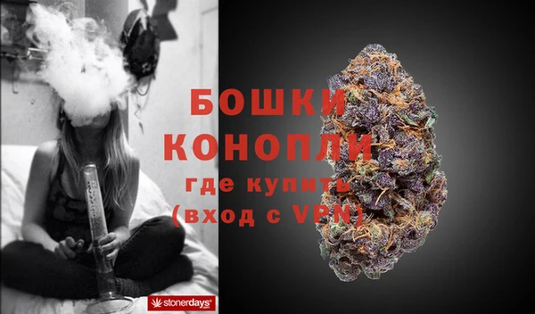 гашик Переславль-Залесский