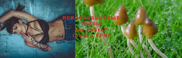 гашик Переславль-Залесский