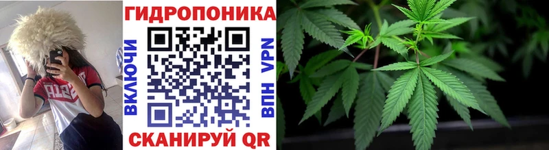 Бошки Шишки ГИДРОПОН Шахты
